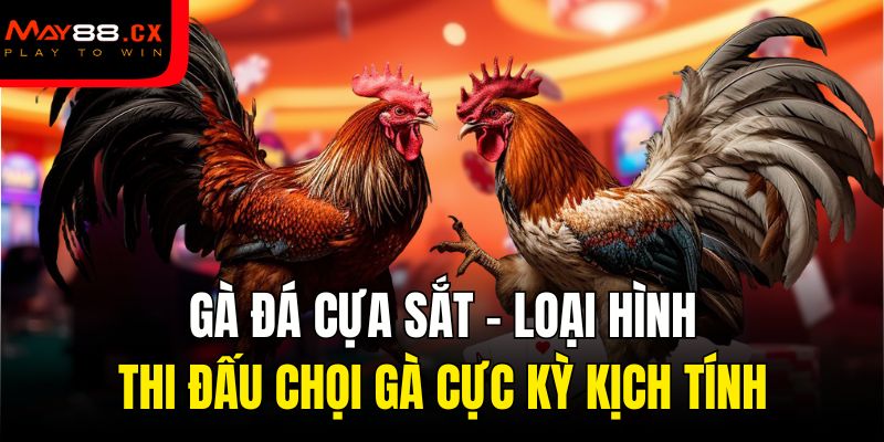Gà đá cựa sắt